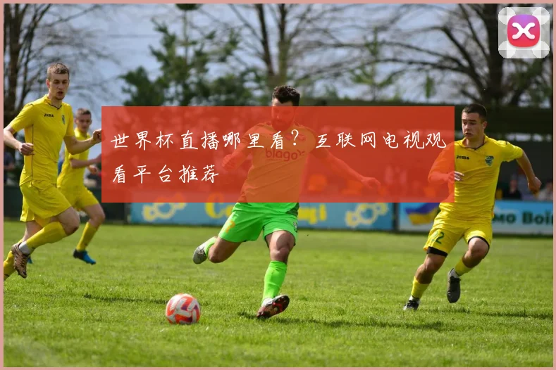 世界杯直播哪里看?互联网电视观看平台推荐