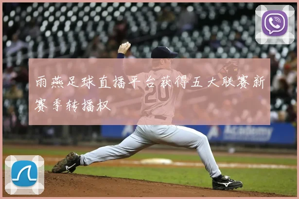 雨燕足球直播平台获得五大联赛新赛季转播权