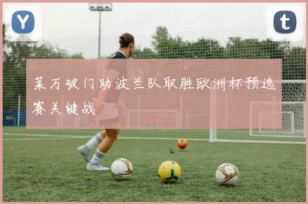 莱万破门助波兰队取胜欧洲杯预选赛关键战